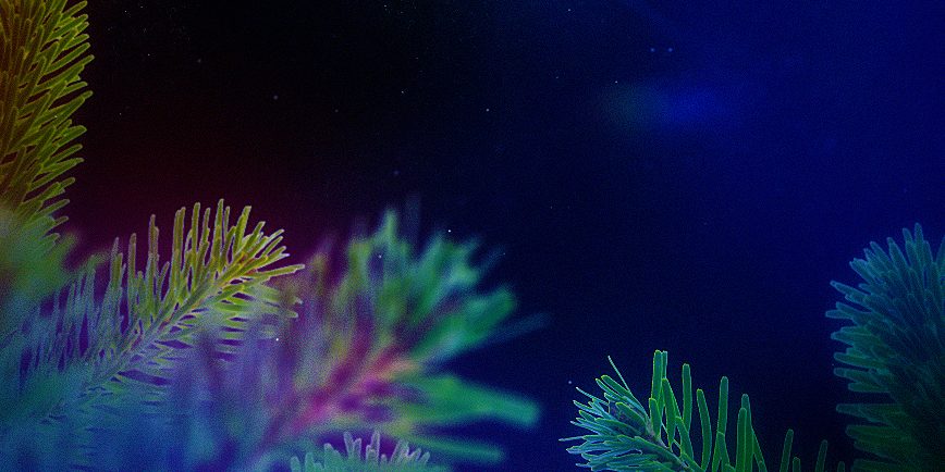 Background-video-voeux