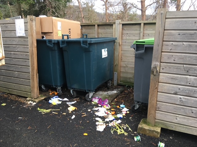 photo poubelles
