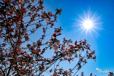 Le printemps à Caloire - Crédit photo ©Christon 2021