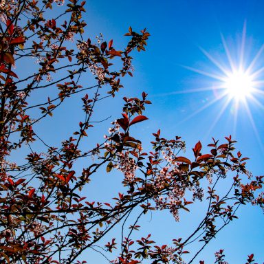 Le printemps à Caloire - Crédit photo ©Christon 2021