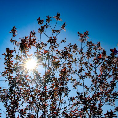 Le printemps à Caloire - Crédit photo ©Christon 2021